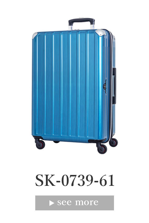 SKYNAVIGATORのスーツケースSK-0739-61のブルーヘアライン正面振り画像
