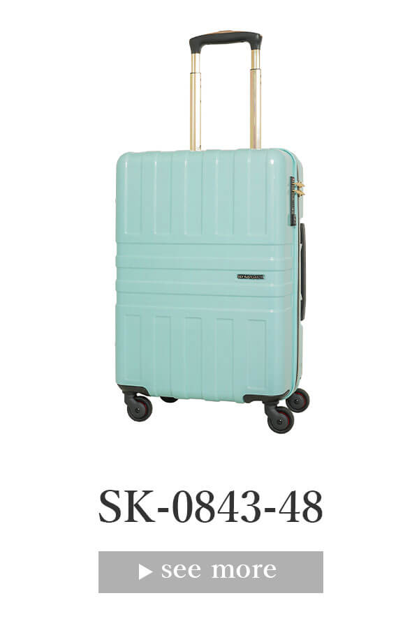 SKYNAVIGATORのスーツケースSK-0843-48のミントブルーヘアライン